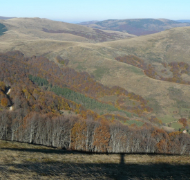 Гложка планина - Мечит